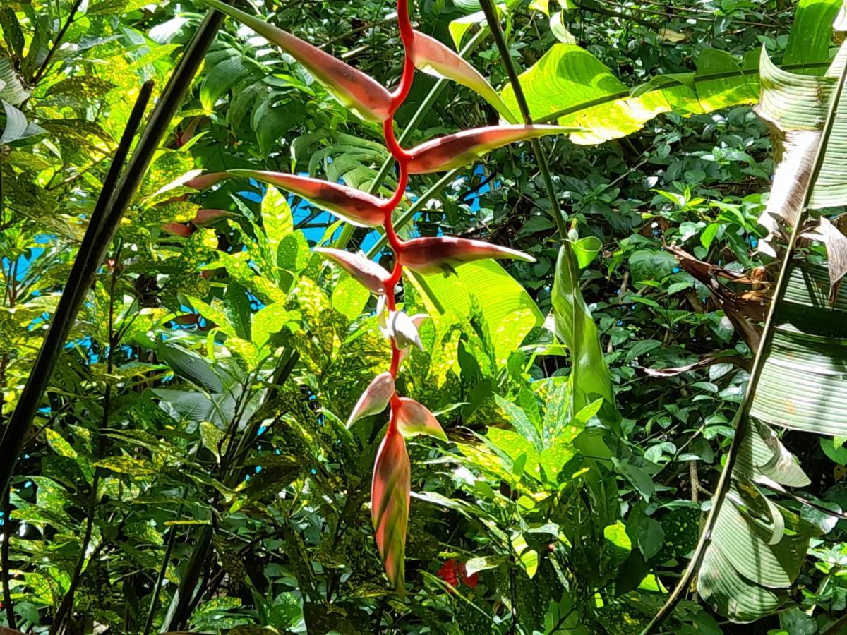 Manuel Antonio Park House - Adults Only Hotel Exterior photo