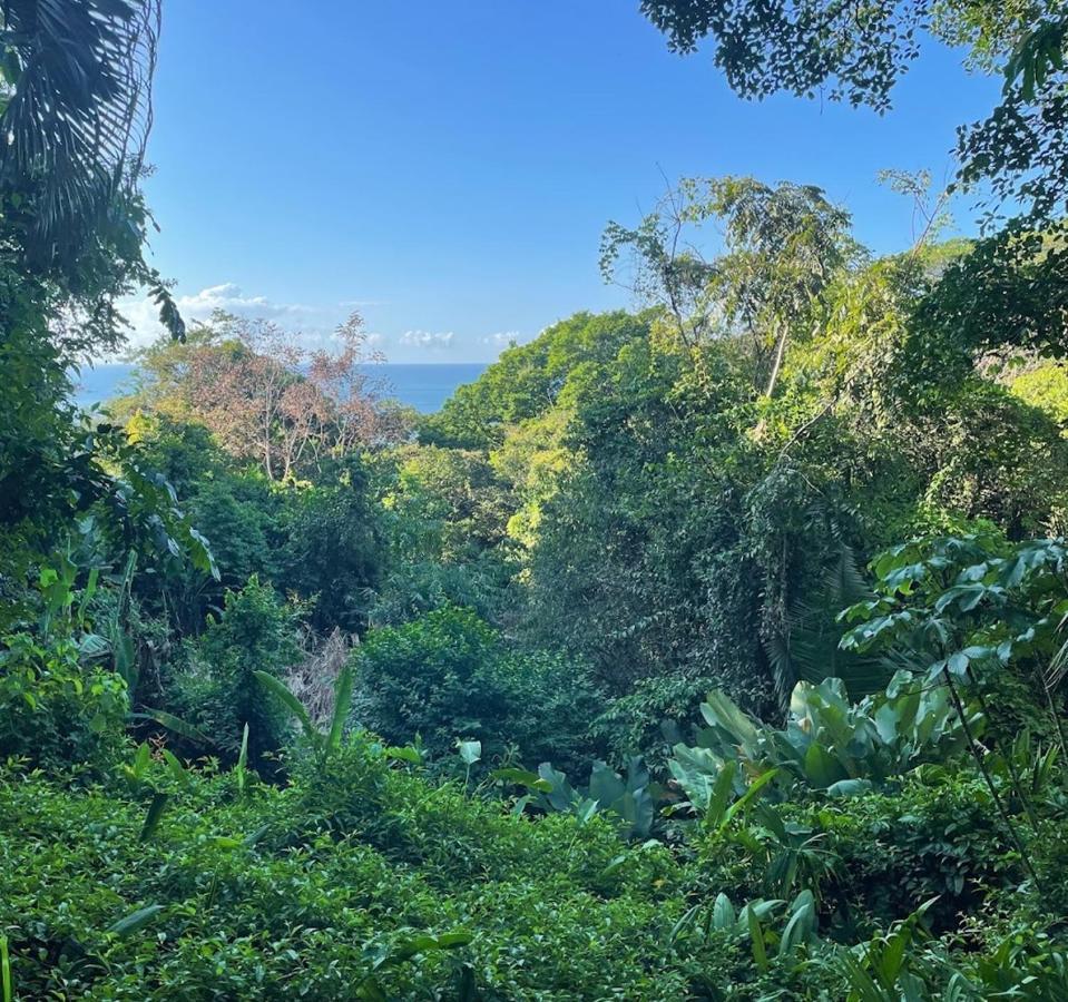 Manuel Antonio Park House - Adults Only Hotel Exterior photo