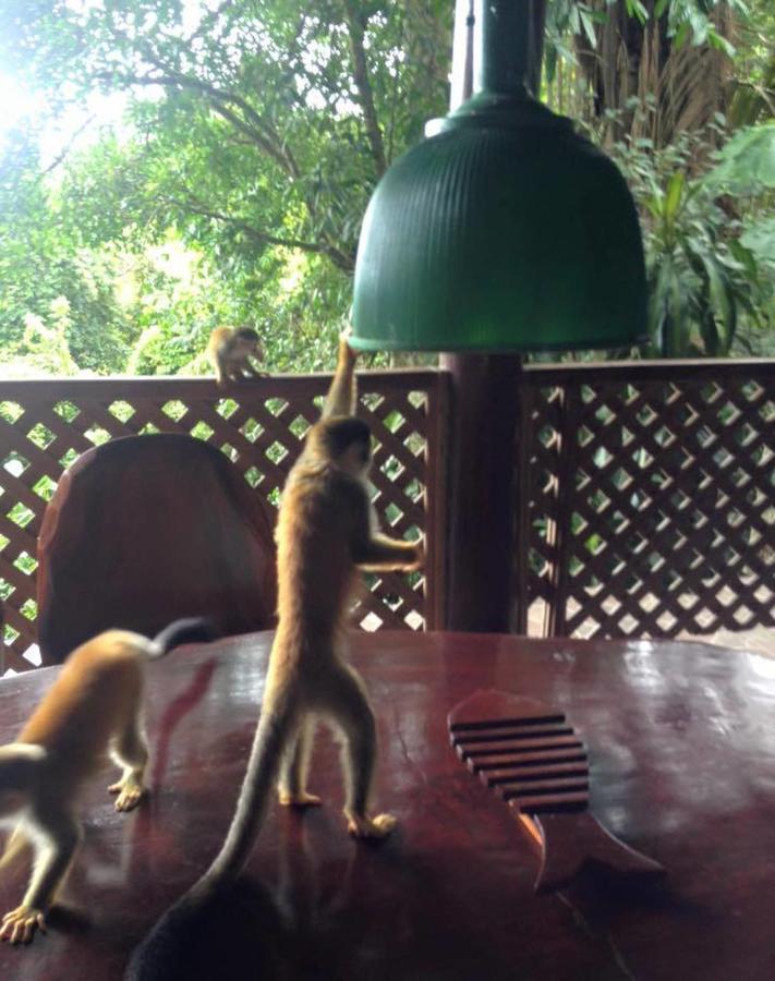 Manuel Antonio Park House - Adults Only Hotel Exterior photo
