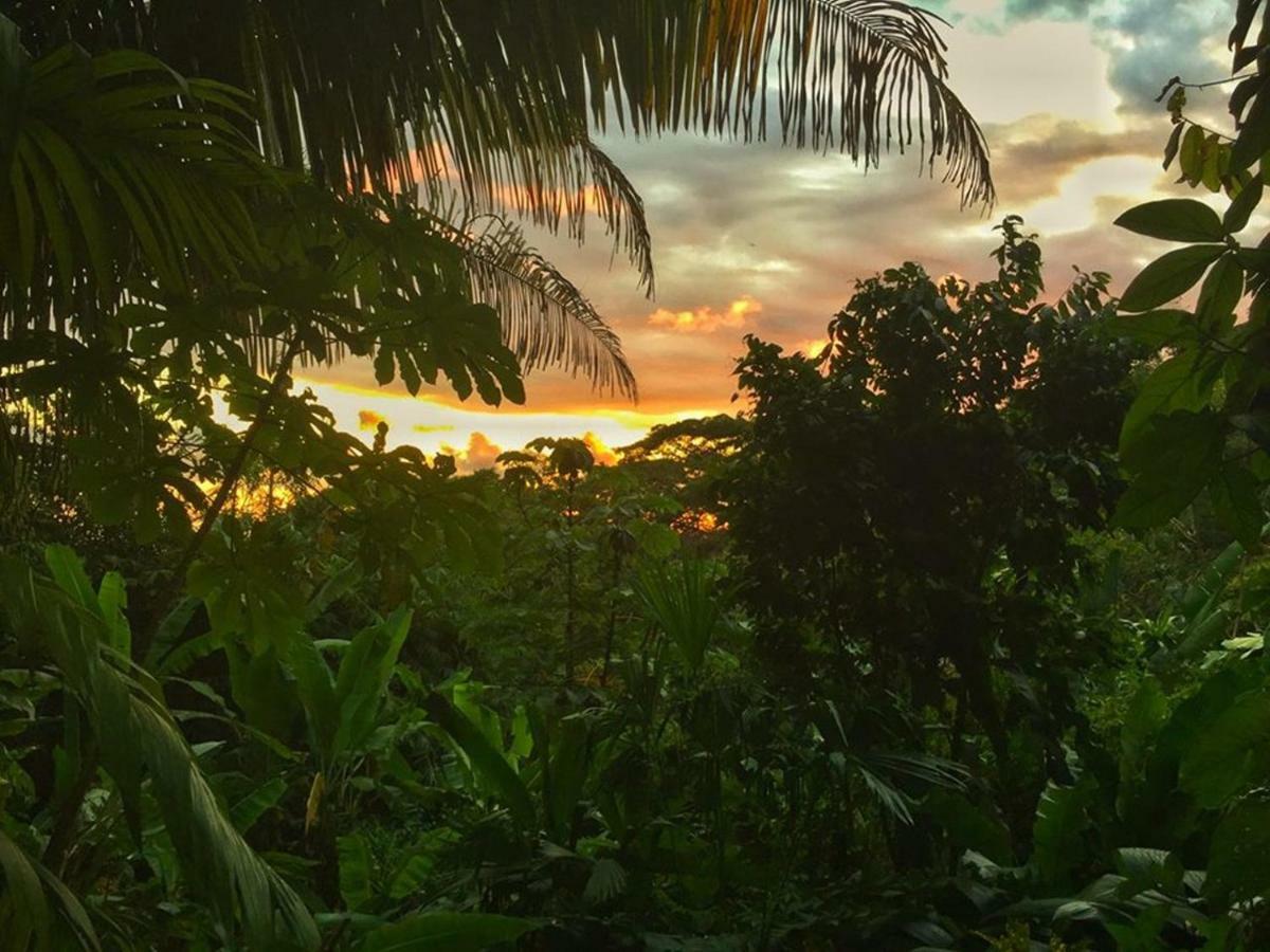 Manuel Antonio Park House - Adults Only Hotel Exterior photo